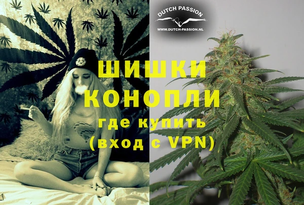 гашик Арсеньев