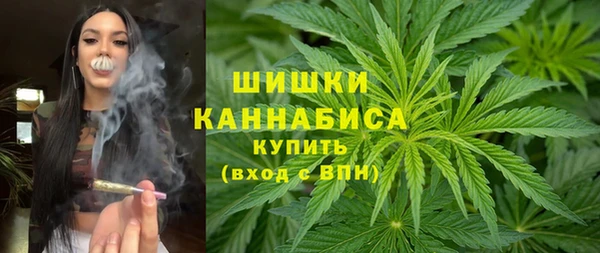 гашик Арсеньев