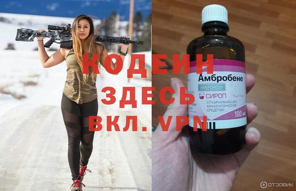 гашик Арсеньев
