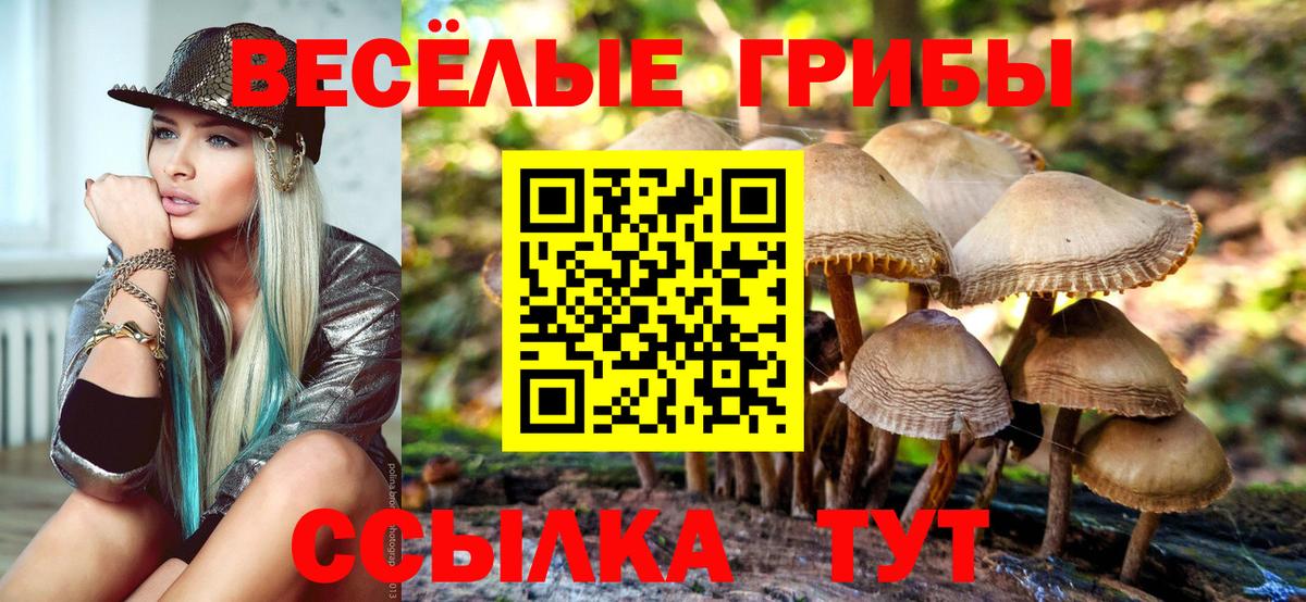 МЕТАДОН Коломна