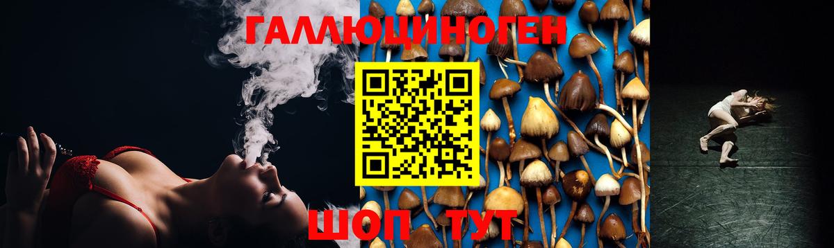 Коломна  Галлюциногенные грибы прущие грибы  Вход с VPN 